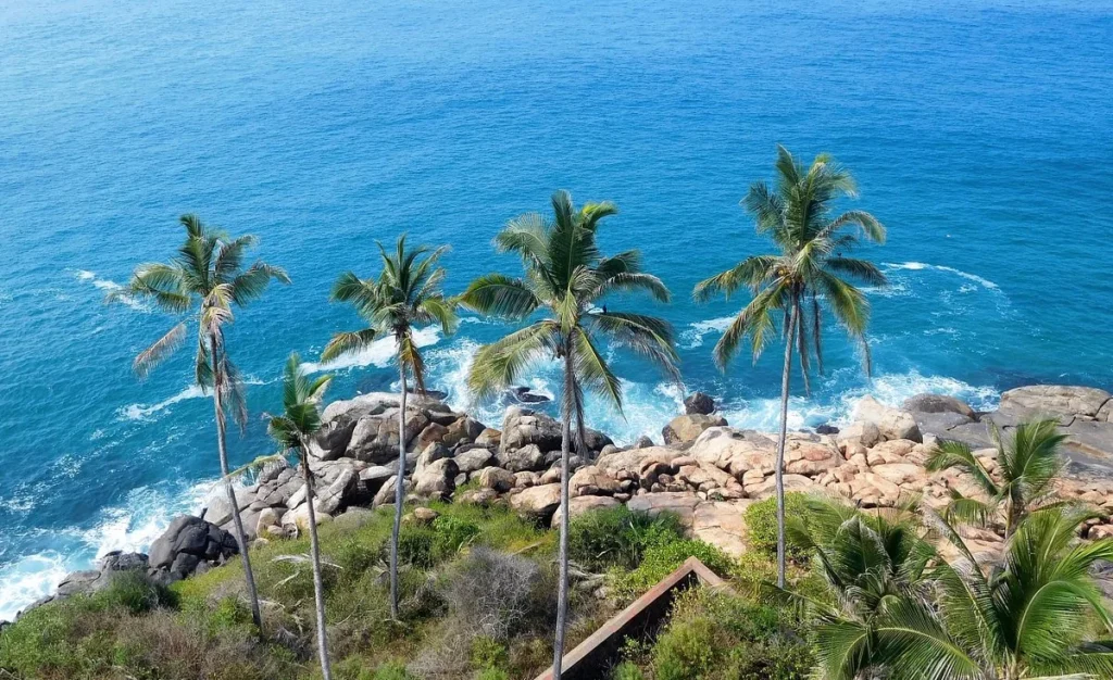 a beach with coconut trees in trivandrum